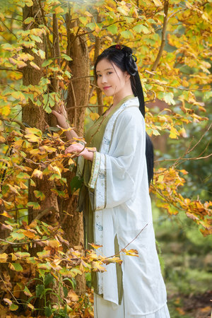 无码精品人妻一区二区三区漫画