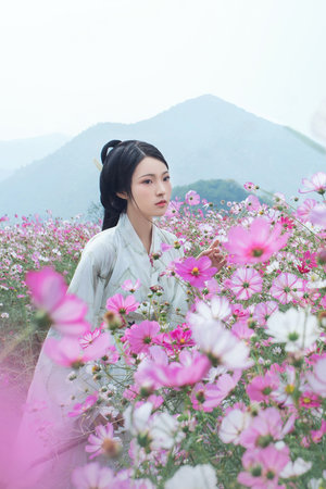 中文字幕二三区不卡