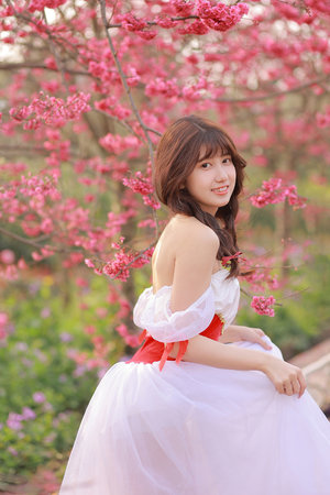 官途艳妇多风流