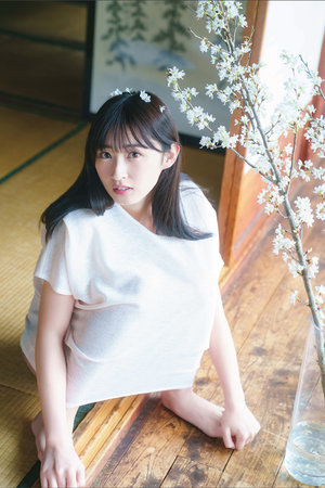 班级的公共玩具小诗免费读