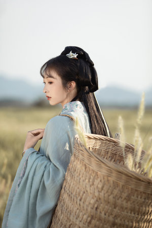 校花的贴身高手电视剧下载