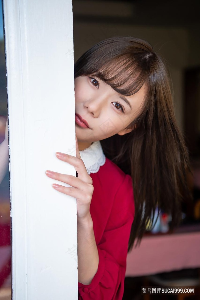 沈蔓歌叶南弦全文免费阅读