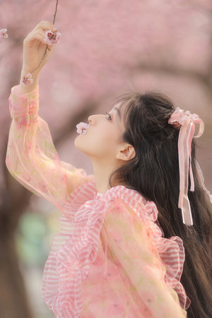 断金在线观看免费高清国语版中文