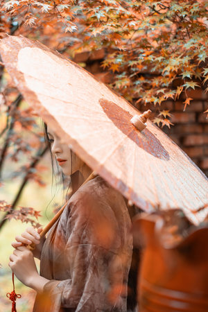 完美世界全集在线观看