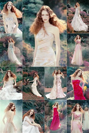 文豪野犬第四季在线观看