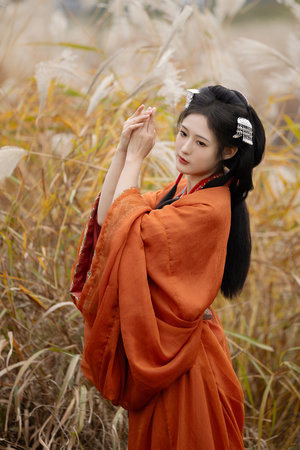 我的博士老公电视剧全集