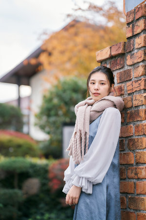 少年白马醉春风动漫第一季