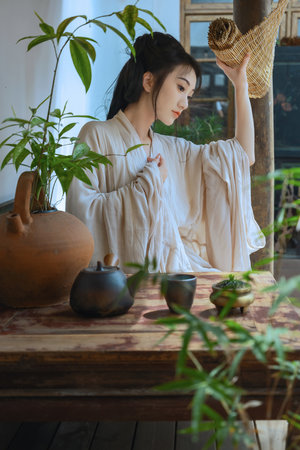 free性videoxxx欧美