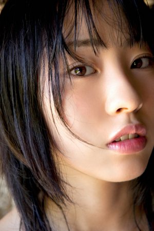 独狼电视剧演员表