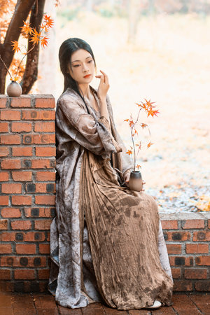 最新电视剧免费观看电视剧大全在线观