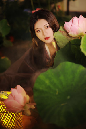 免费伦理电影网