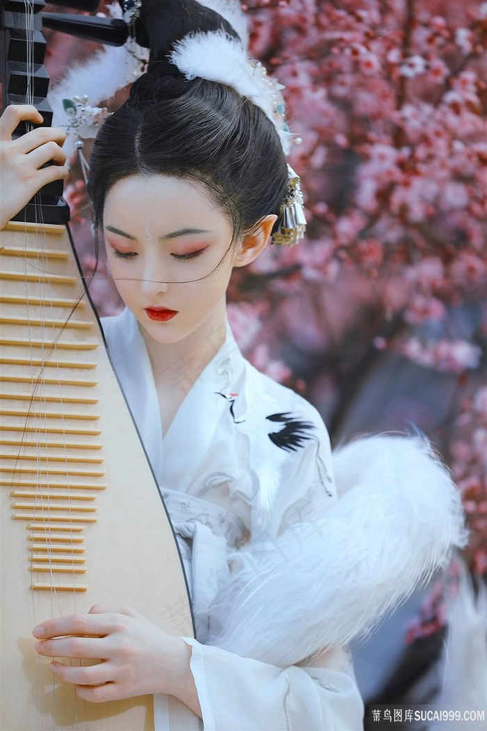 空姐前规则未删减全文阅读