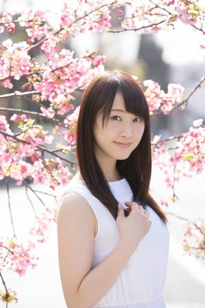 平凡的世界完整版