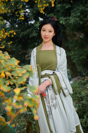 都市极品医神叶辰免费观看全集