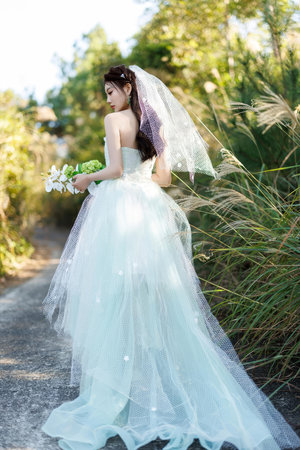 成年女美黄网站大全免费播放