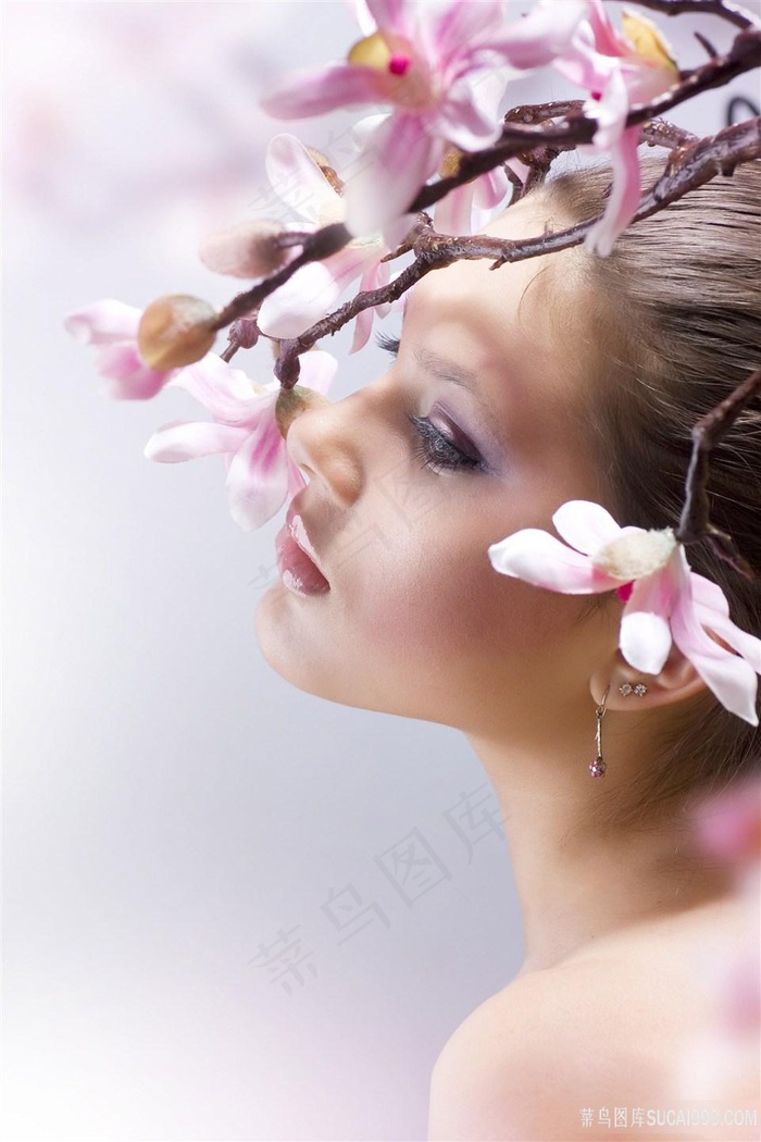 古董局中局:鉴墨寻瓷