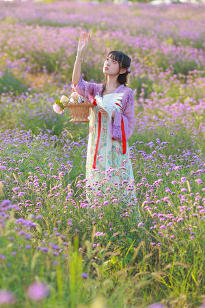 苏菲赵东花都兵王笔趣阁