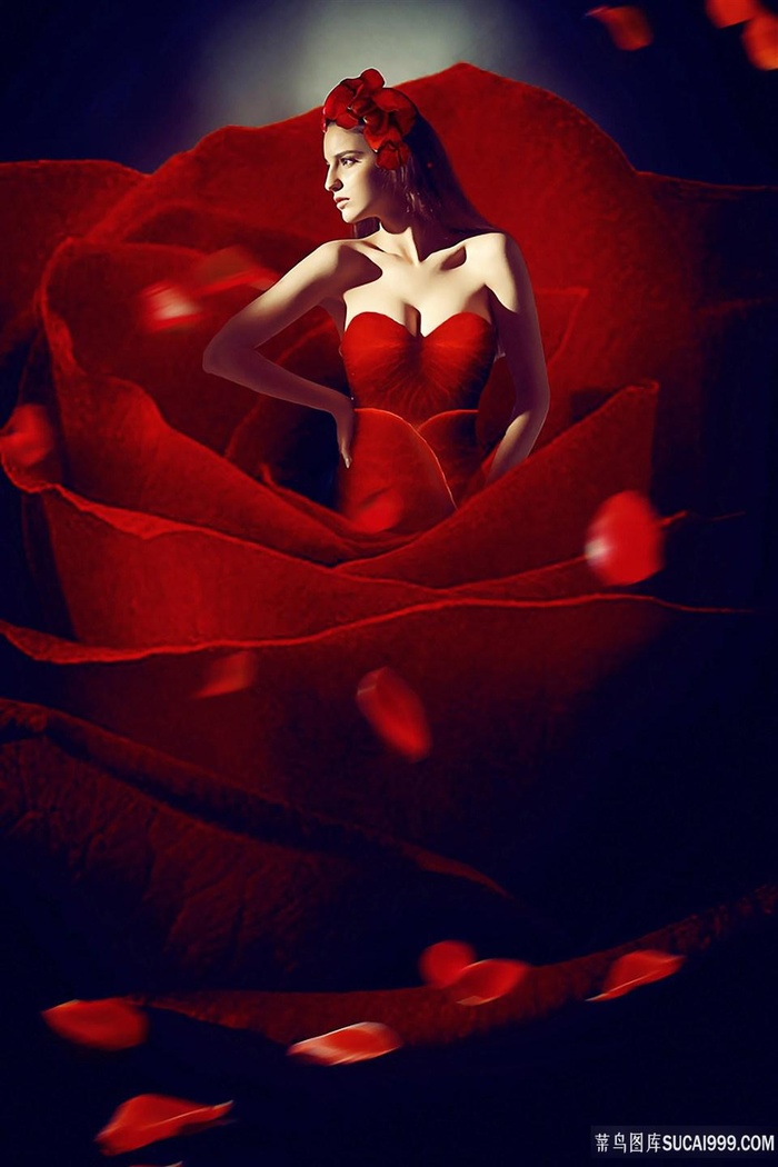 韩国情事未删版在线