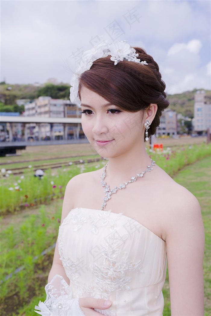 十七岁免费播放