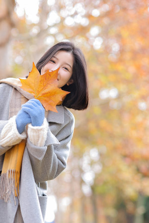 日韩免费毛片全部不收费