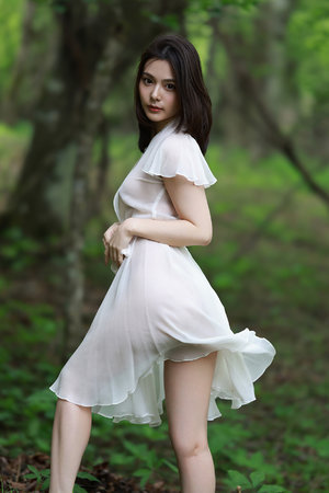 杉杉来了电视剧全集