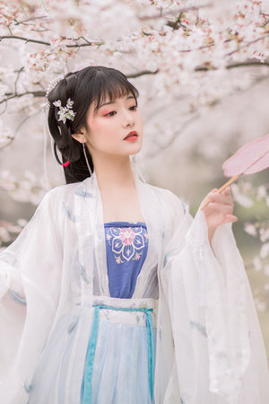 黄色网页免费看