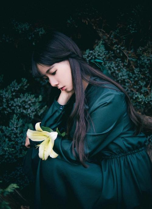 郑少秋最新电视剧