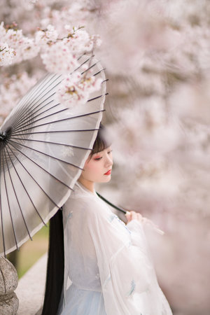 欧美爱爱动态图