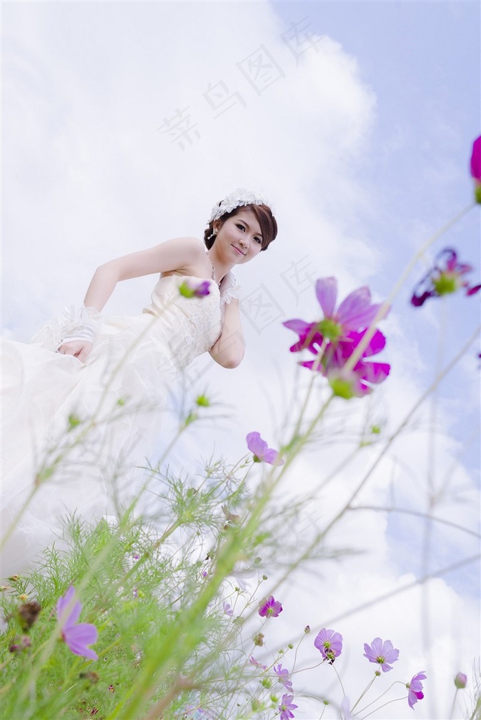 神兽金刚大结局