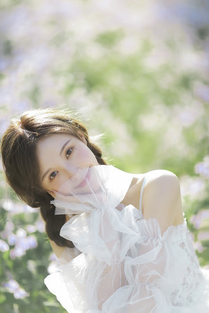 强制入侵赤井沙溪