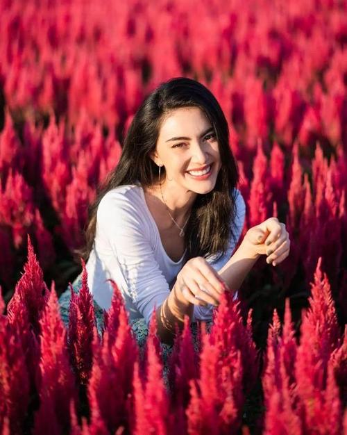 美丽的小蜜桃1美剧完整版免费