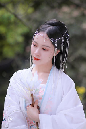 迈开腿让尝尝你的森林免费看