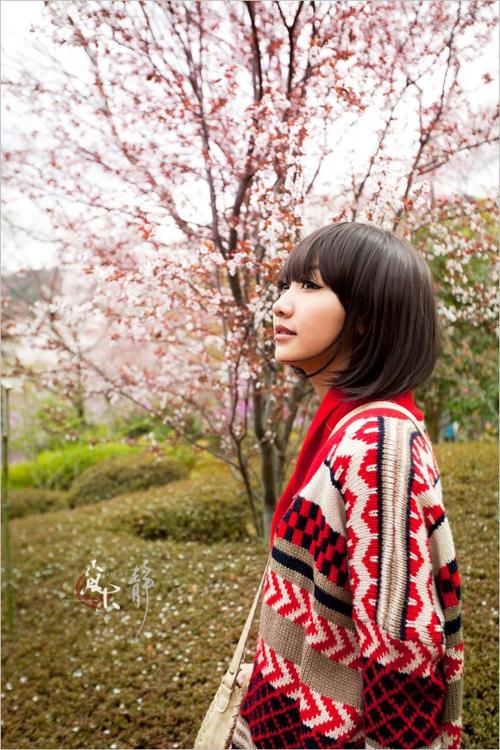 大地电影在线资源