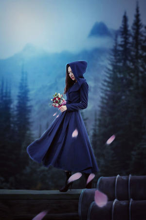 欧美特殊大毛茸茸BBW