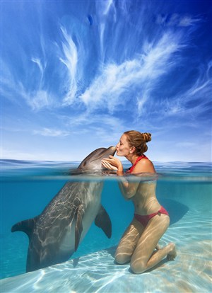 国产精品爽爽免费观看