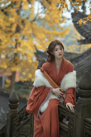 一级毛片在线不卡免费播放