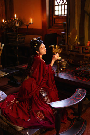 诱人的飞行观看hd中字