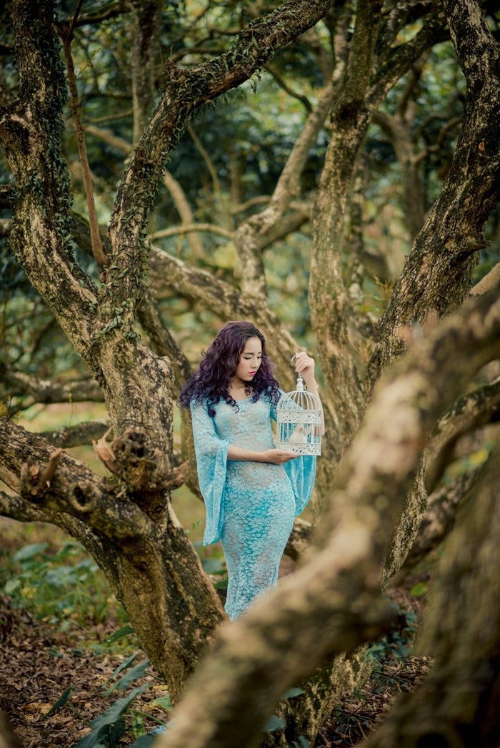 青蛙少年失踪案