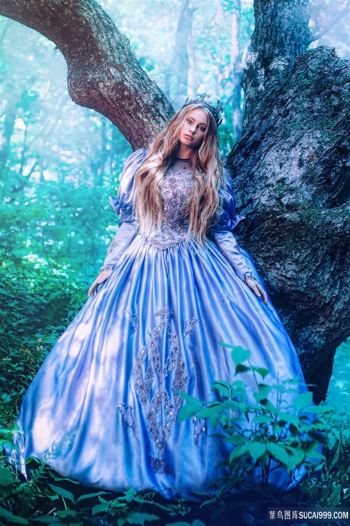 风在起时电视剧全集免费观看