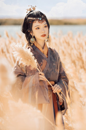 丰满少妇乱A片无码