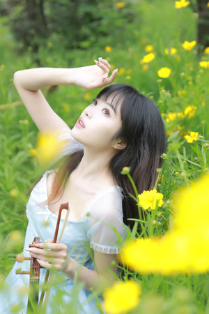 少年包青天第3部