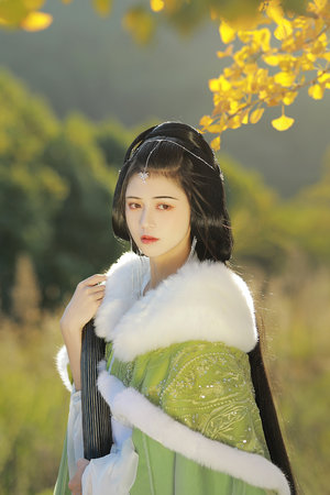 中华小当家动漫国语版