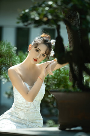 福林小说全集在线阅读