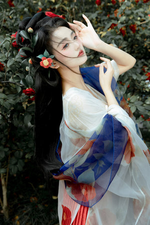 花园宝宝动画片