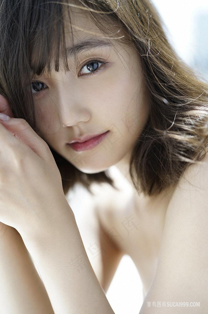 家族荣耀之继承者电视剧免费观看