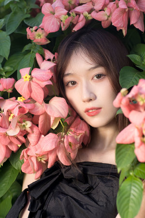 在远方在线观看