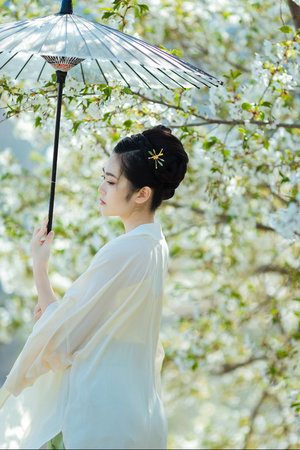 蜜饯蝴蝶不是鸟